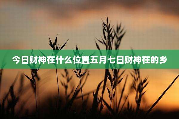 今日财神在什么位置五月七日财神在的乡