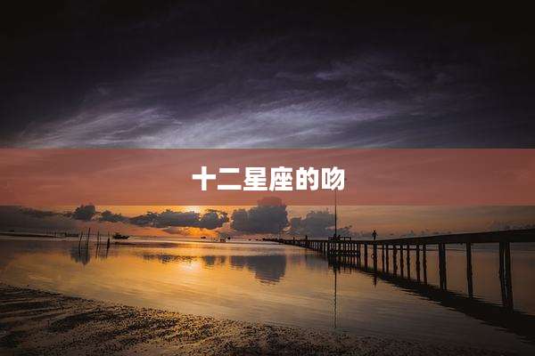 十二星座的吻