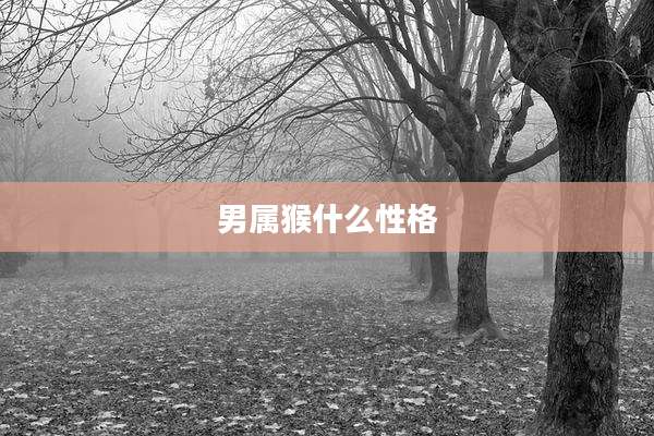 男属猴什么性格