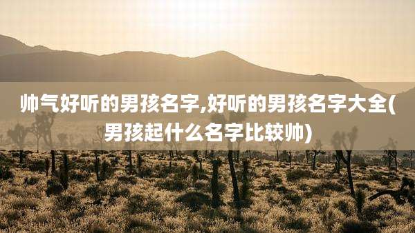 帅气好听的男孩名字,好听的男孩名字大全(男孩起什么名字比较帅)