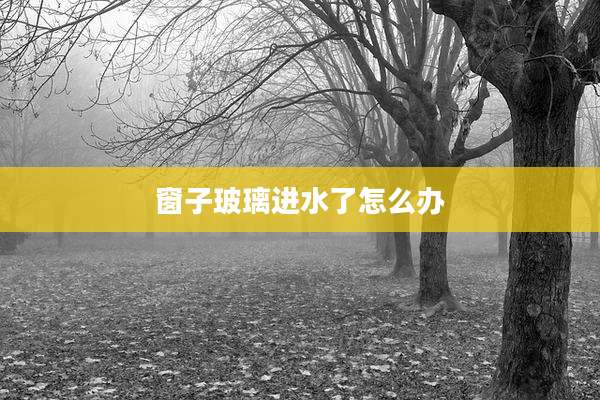窗子玻璃进水了怎么办
