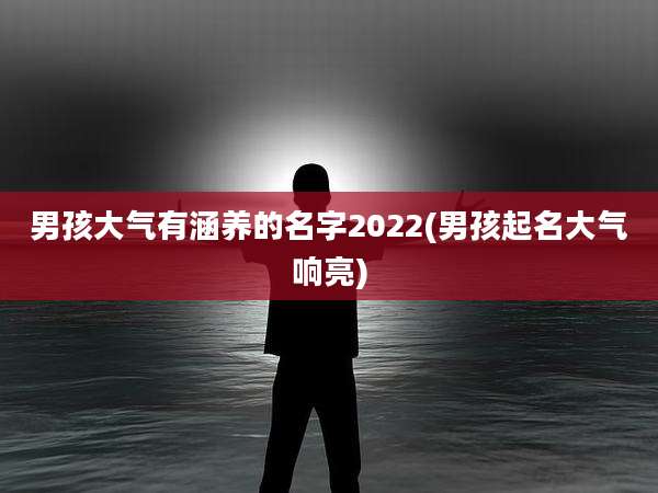 男孩大气有涵养的名字2022(男孩起名大气响亮)