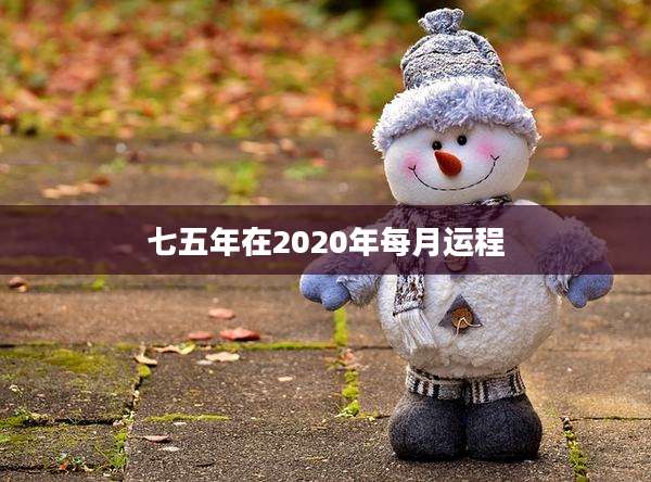 七五年在2020年每月运程
