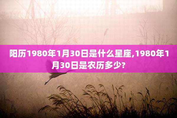 阳历1980年1月30日是什么星座,1980年1月30日是农历多少?