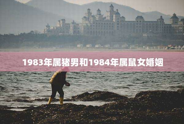 1983年属猪男和1984年属鼠女婚姻