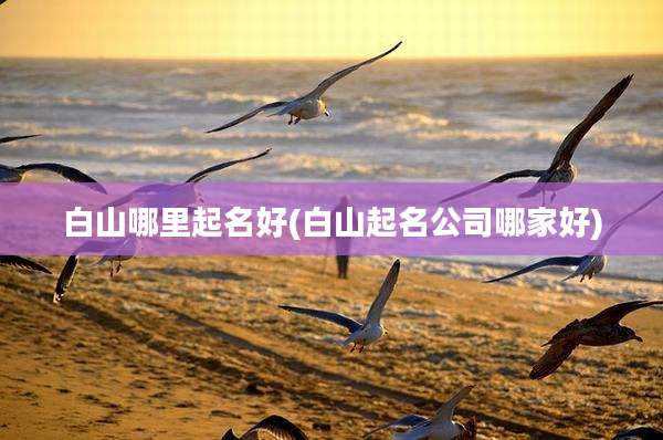 白山哪里起名好(白山起名公司哪家好)