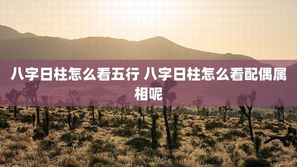 八字日柱怎么看五行 八字日柱怎么看配偶属相呢
