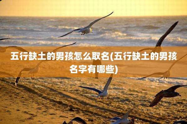 五行缺土的男孩怎么取名(五行缺土的男孩名字有哪些)