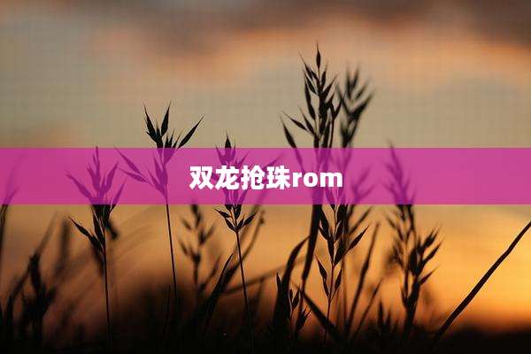 双龙抢珠rom