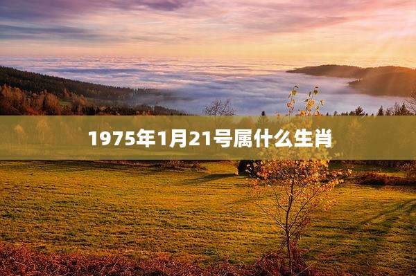 1975年1月21号属什么生肖