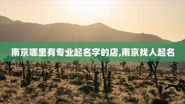 南京哪里有专业起名字的店,南京找人起名