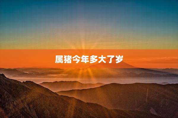 属猪今年多大了岁