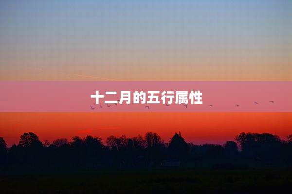 十二月的五行属性