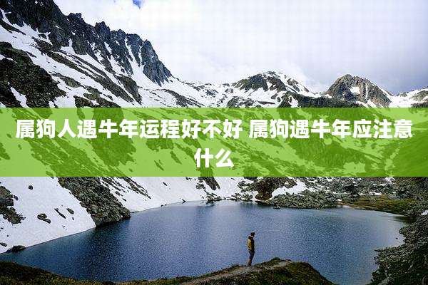 属狗人遇牛年运程好不好 属狗遇牛年应注意什么