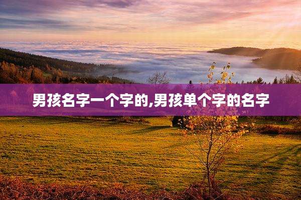 男孩名字一个字的,男孩单个字的名字