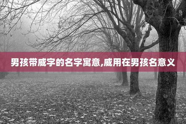 男孩带威字的名字寓意,威用在男孩名意义