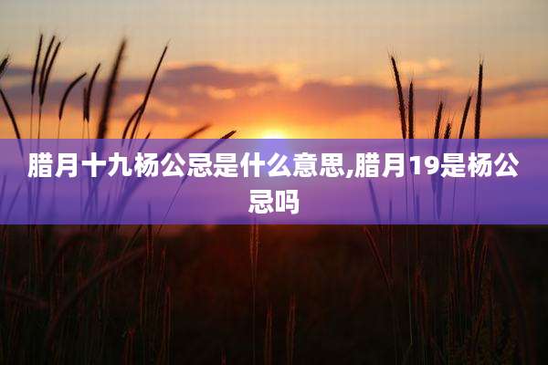 腊月十九杨公忌是什么意思,腊月19是杨公忌吗