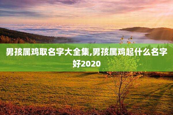 男孩属鸡取名字大全集,男孩属鸡起什么名字好2020