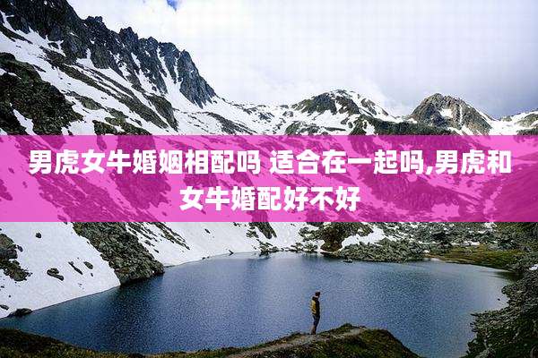 男虎女牛婚姻相配吗 适合在一起吗,男虎和女牛婚配好不好