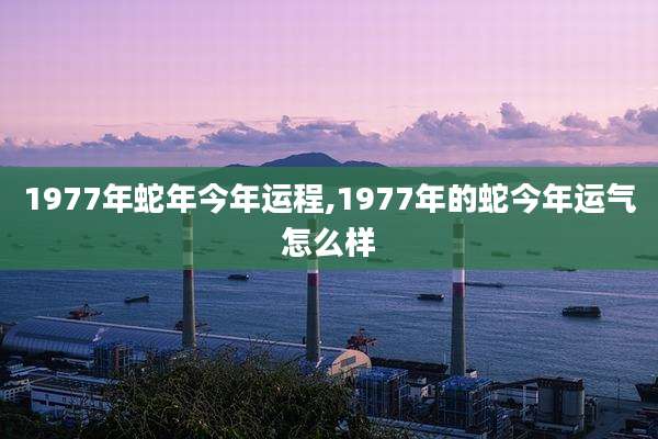 1977年蛇年今年运程,1977年的蛇今年运气怎么样