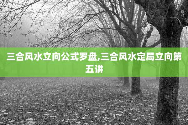 三合风水立向公式罗盘,三合风水定局立向第五讲