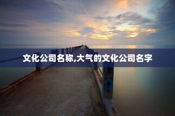 文化公司名称,大气的文化公司名字