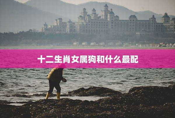 十二生肖女属狗和什么最配