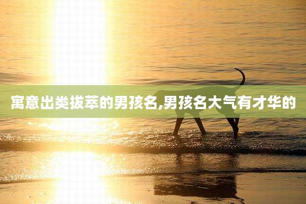 寓意出类拔萃的男孩名,男孩名大气有才华的