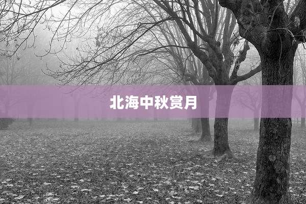北海中秋赏月