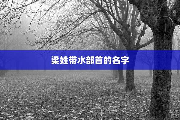 梁姓带水部首的名字