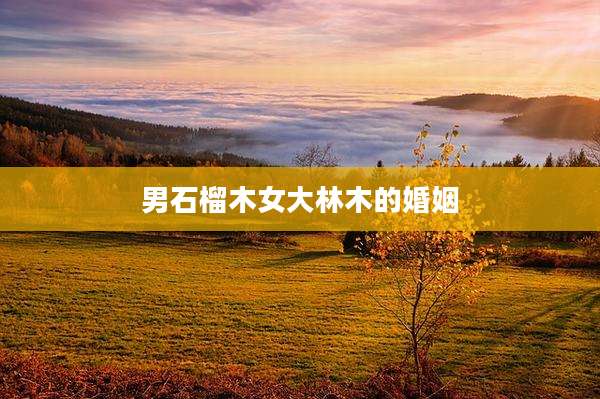 男石榴木女大林木的婚姻