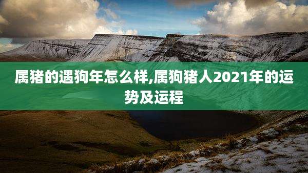 属猪的遇狗年怎么样,属狗猪人2021年的运势及运程