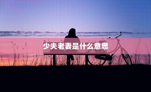 少夫老妻是什么意思