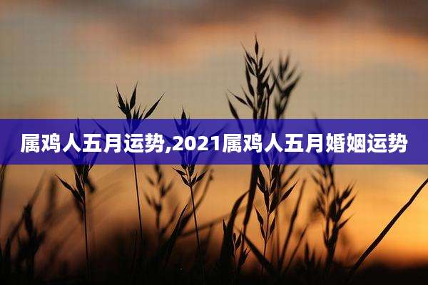 属鸡人五月运势,2021属鸡人五月婚姻运势
