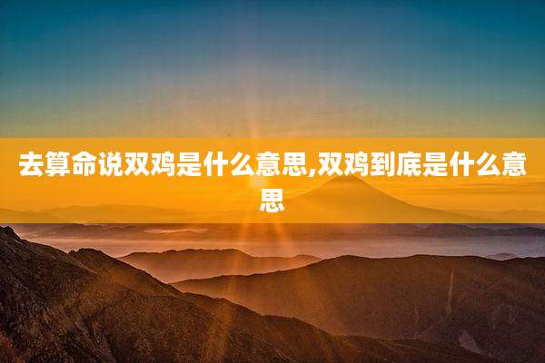 去算命说双鸡是什么意思,双鸡到底是什么意思