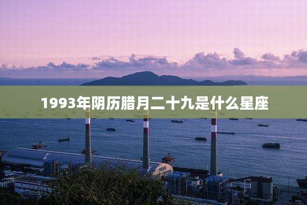 1993年阴历腊月二十九是什么星座