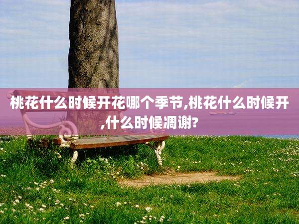 桃花什么时候开花哪个季节,桃花什么时候开,什么时候凋谢?