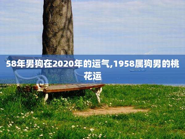 58年男狗在2020年的运气,1958属狗男的桃花运