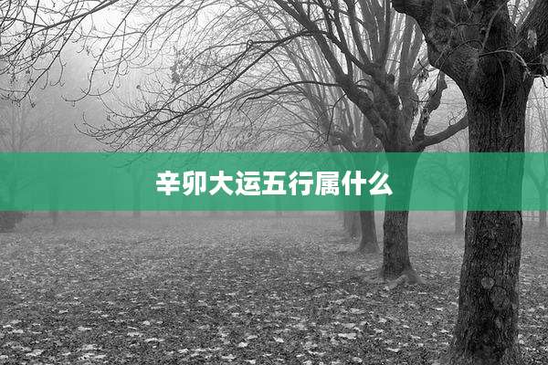 辛卯大运五行属什么