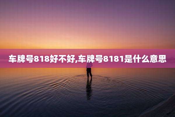 车牌号818好不好,车牌号8181是什么意思