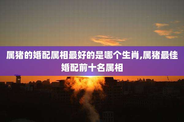 属猪的婚配属相最好的是哪个生肖,属猪最佳婚配前十名属相