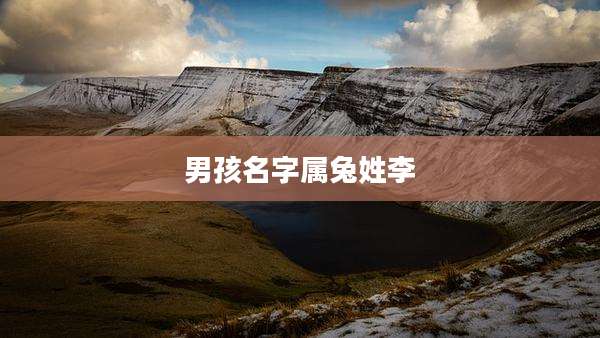 男孩名字属兔姓李