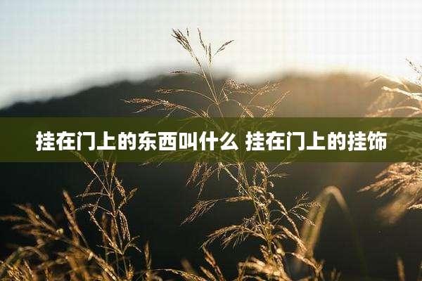 挂在门上的东西叫什么 挂在门上的挂饰