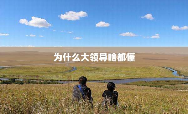 为什么大领导啥都懂