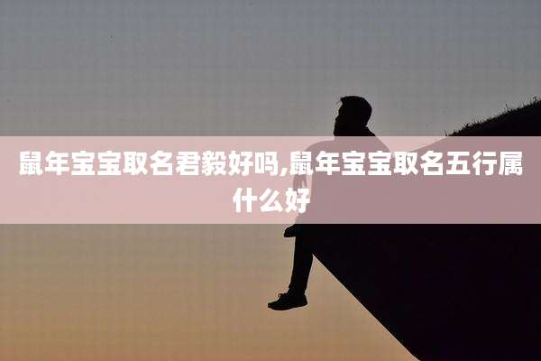 鼠年宝宝取名君毅好吗,鼠年宝宝取名五行属什么好