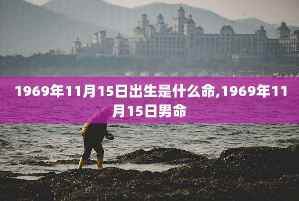 1969年11月15日出生是什么命,1969年11月15日男命