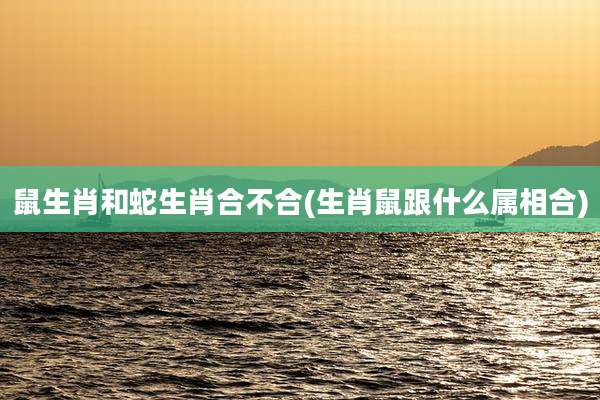 鼠生肖和蛇生肖合不合(生肖鼠跟什么属相合)