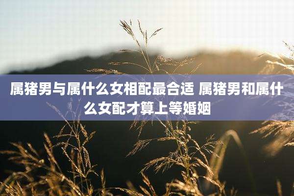 属猪男与属什么女相配最合适 属猪男和属什么女配才算上等婚姻