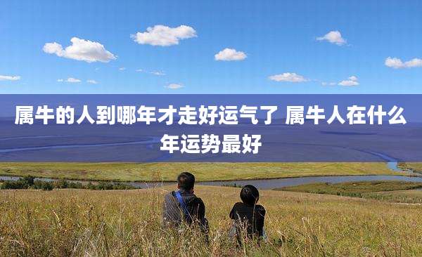 属牛的人到哪年才走好运气了 属牛人在什么年运势最好