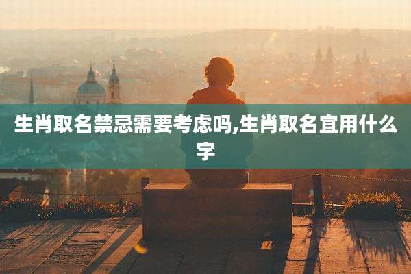 生肖取名禁忌需要考虑吗,生肖取名宜用什么字